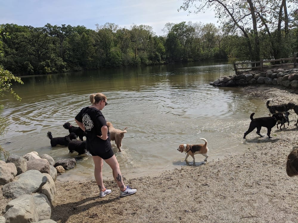 Prairie Wolf Off-Leash Dog Area, photo 3