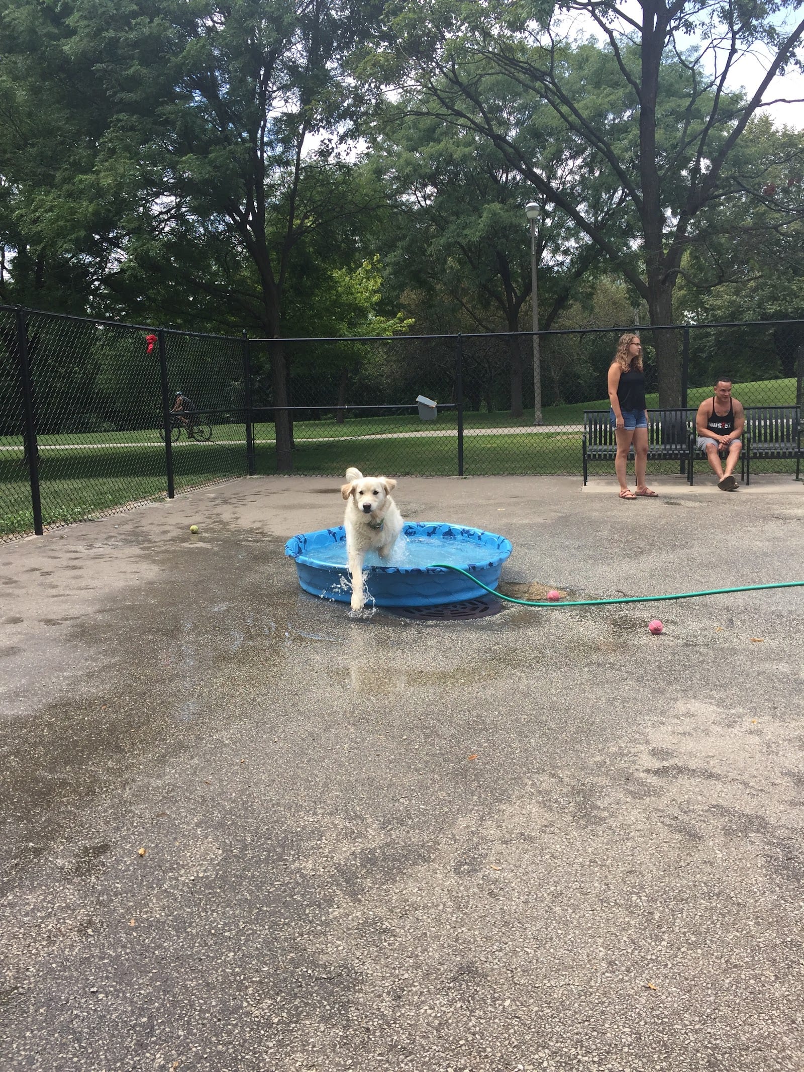 River Park Dog Friendly Area