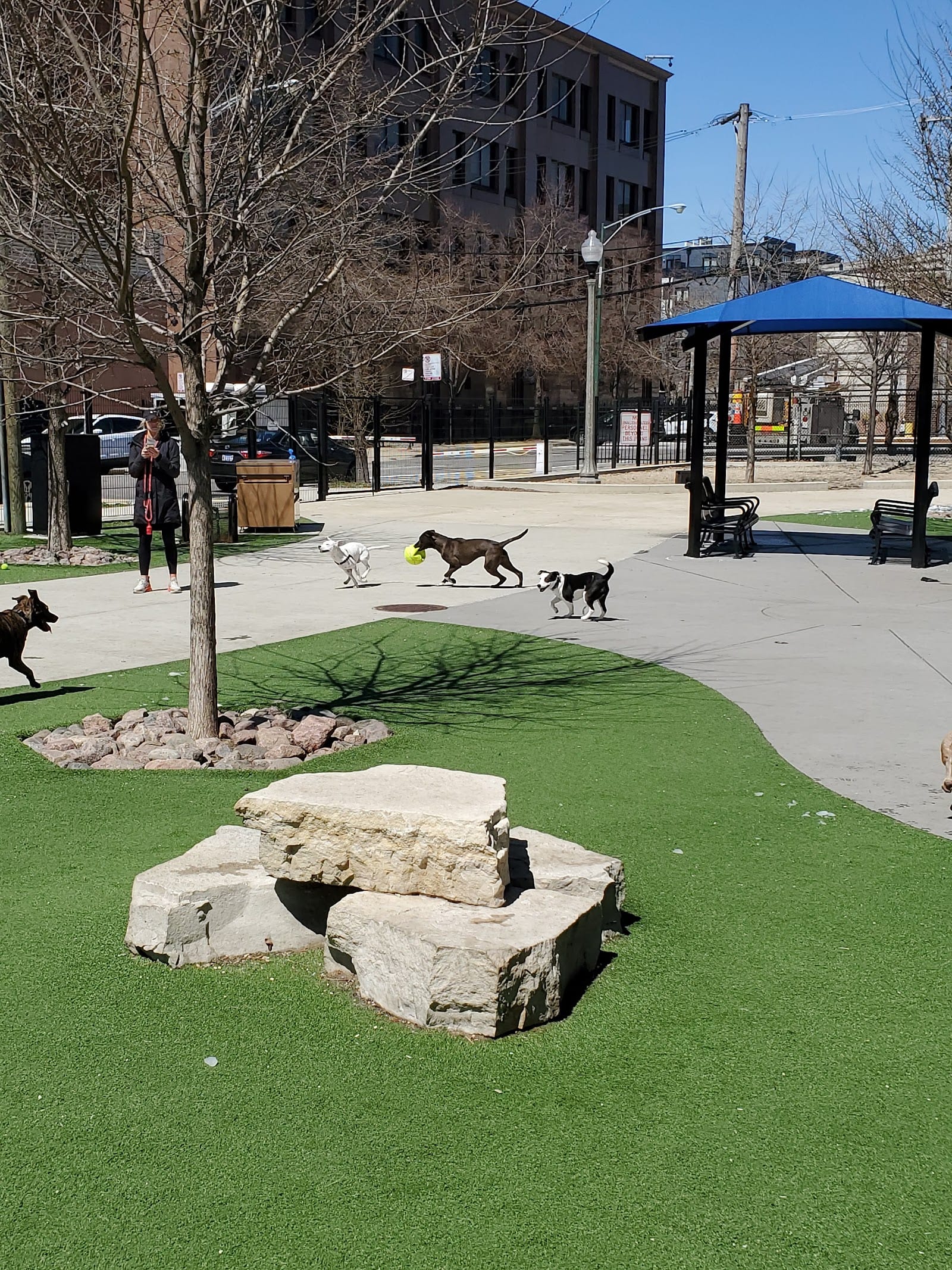 The West Loop 569 Dog Friendly Area