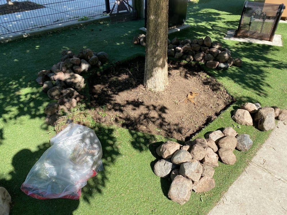 The West Loop 569 Dog Friendly Area, photo 2