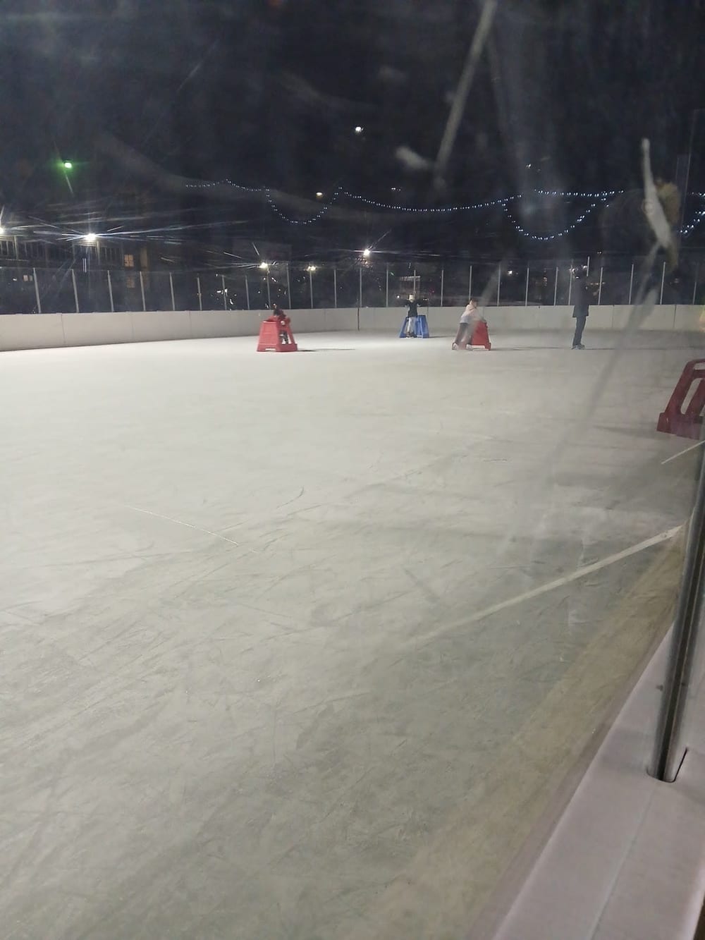 Wentworth Park Dog Friendly Area, photo 3