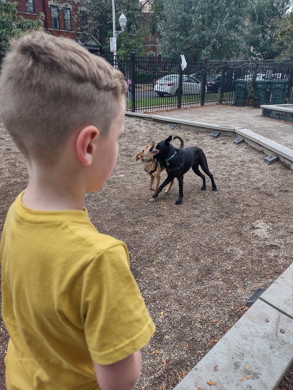 Wicker Park Dog Friendly Area, photo 3