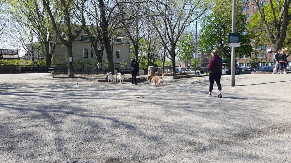 Wiggly Field Dog Park, photo 2