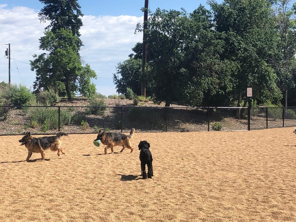Barnum Dog Park, photo 3