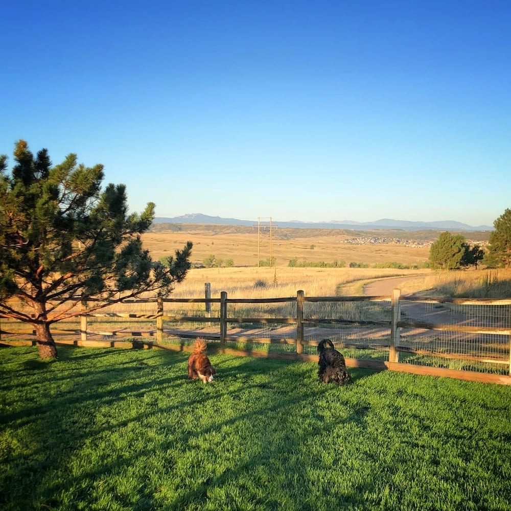 Bayou Gulch Dog Park, photo 2
