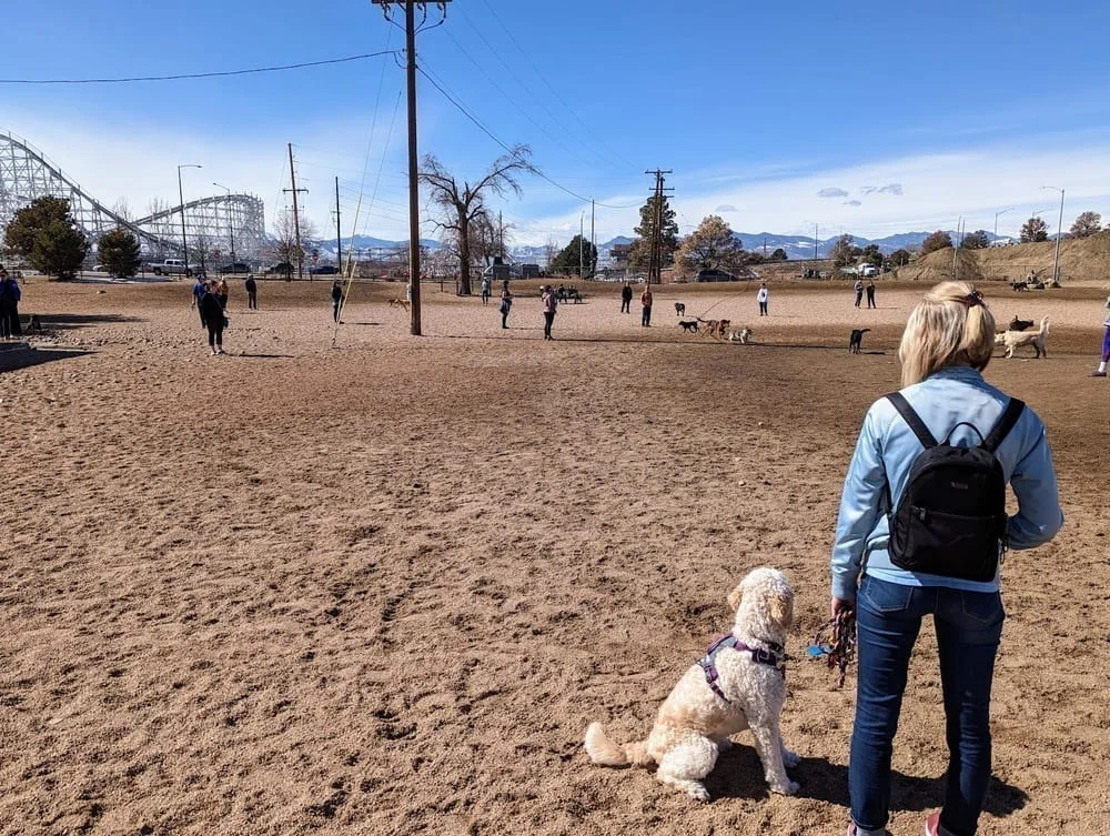 Berkeley Dog Park, photo 3
