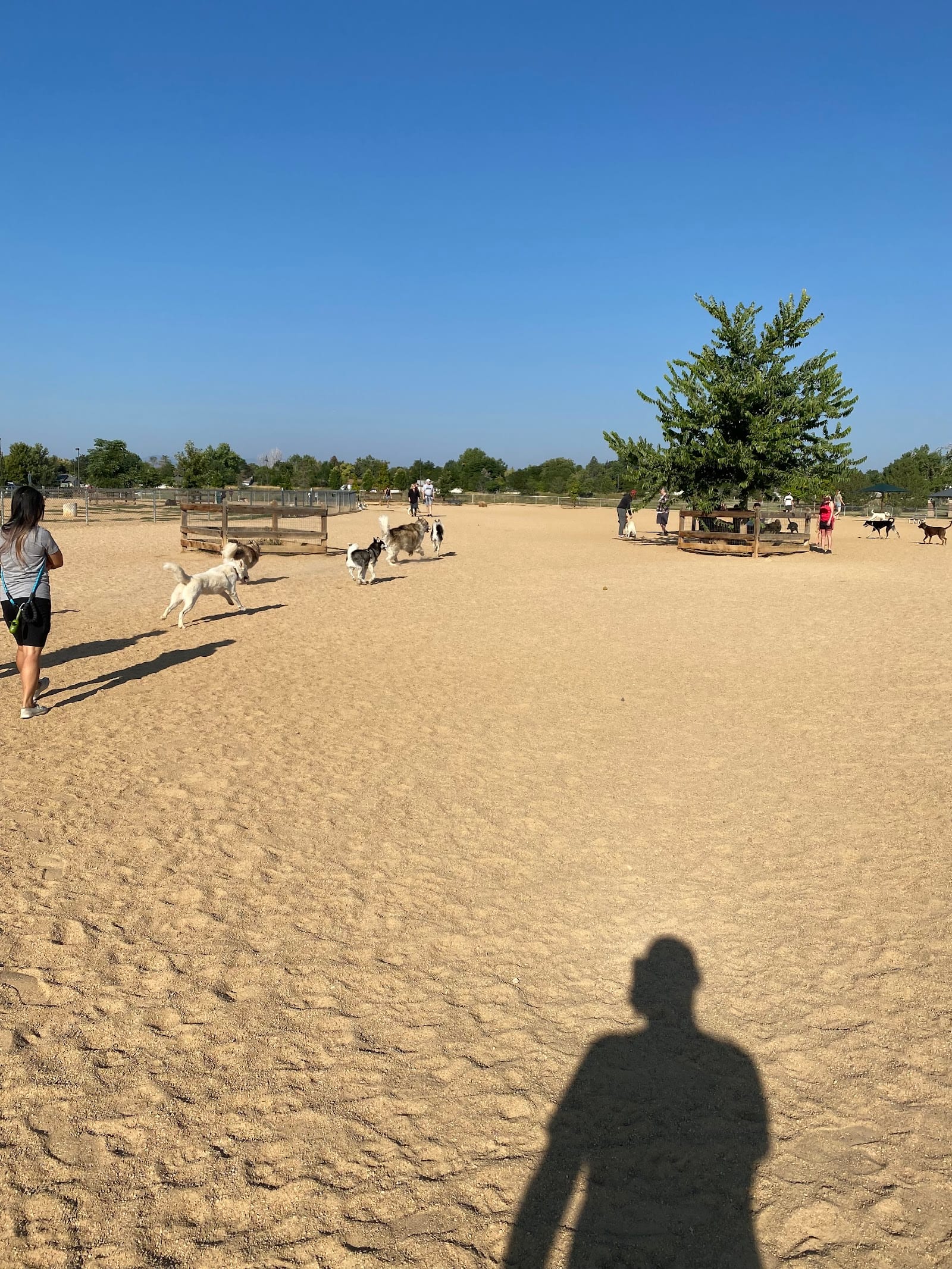Broomfield Commons Dog Park