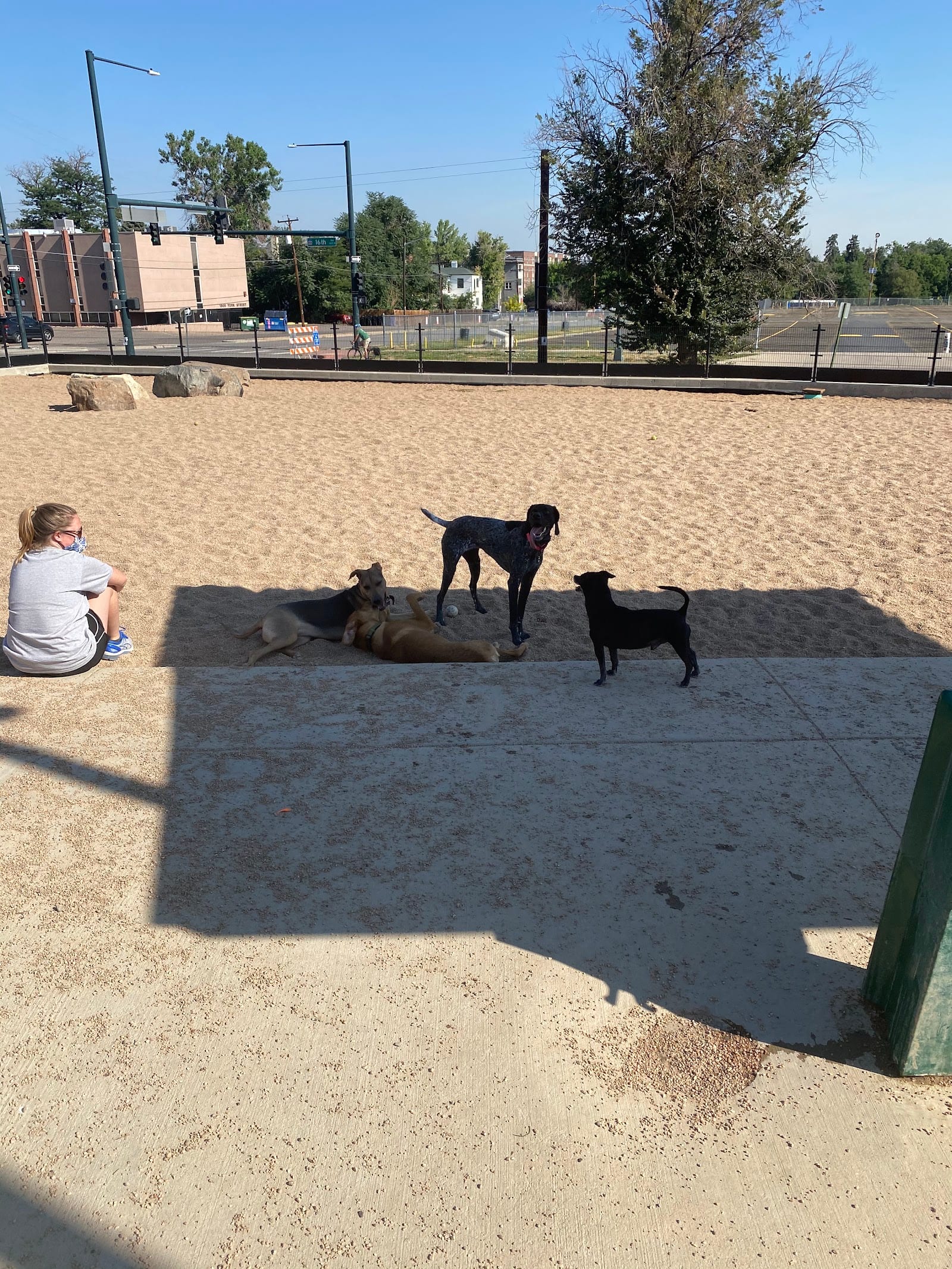 Carla Madison Dog Park