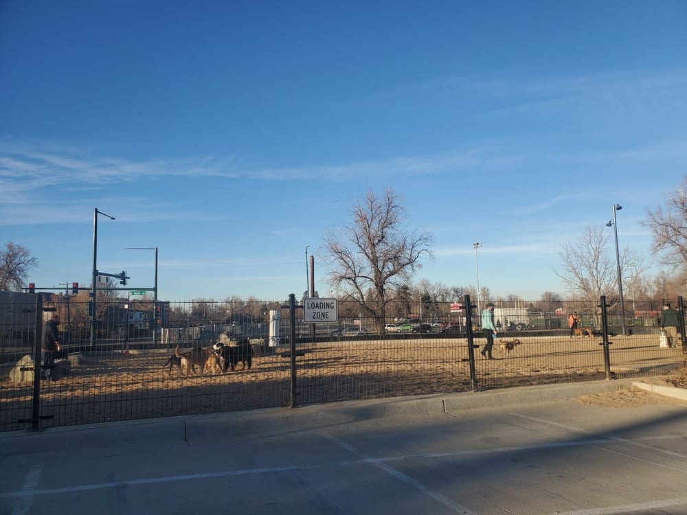 Carla Madison Dog Park, photo 3