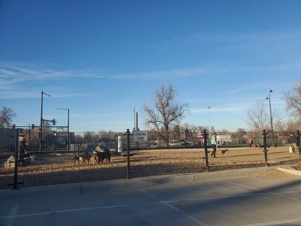 Carla Madison Dog Park, photo 3