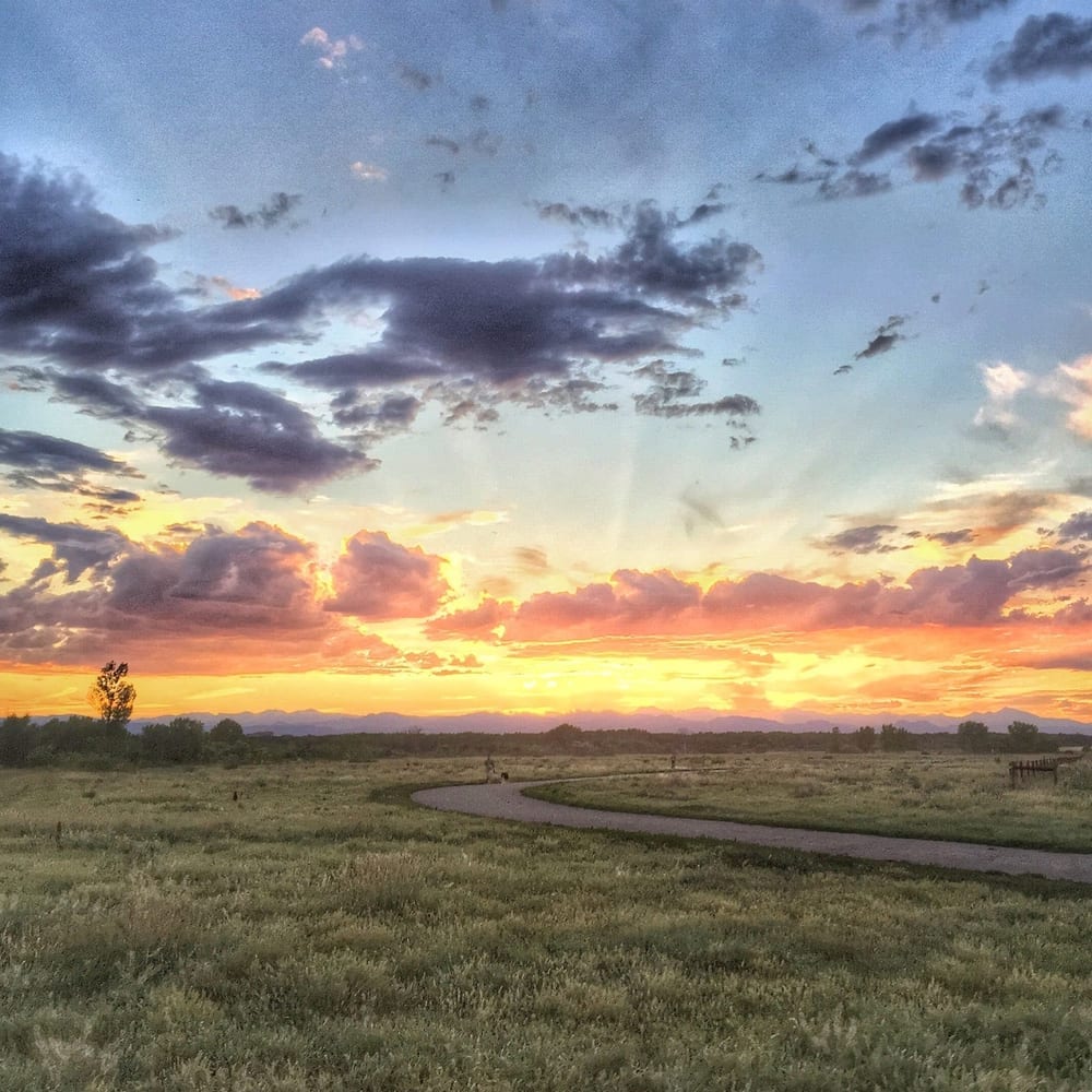 Cherry Creek ​Dog Of​f Leash Area (DOLA), photo 2
