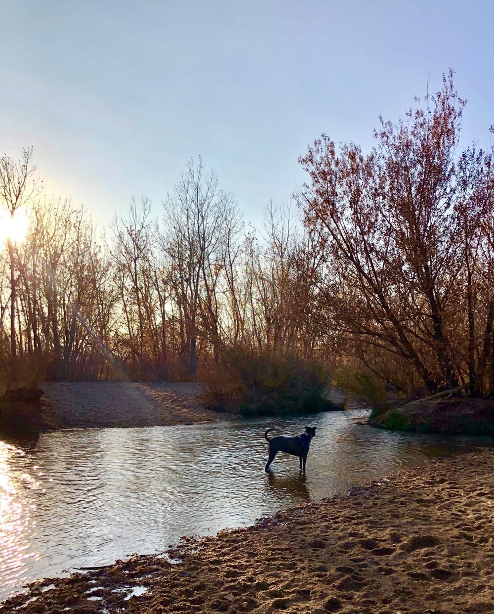 Cherry Creek Dog Park, photo 2