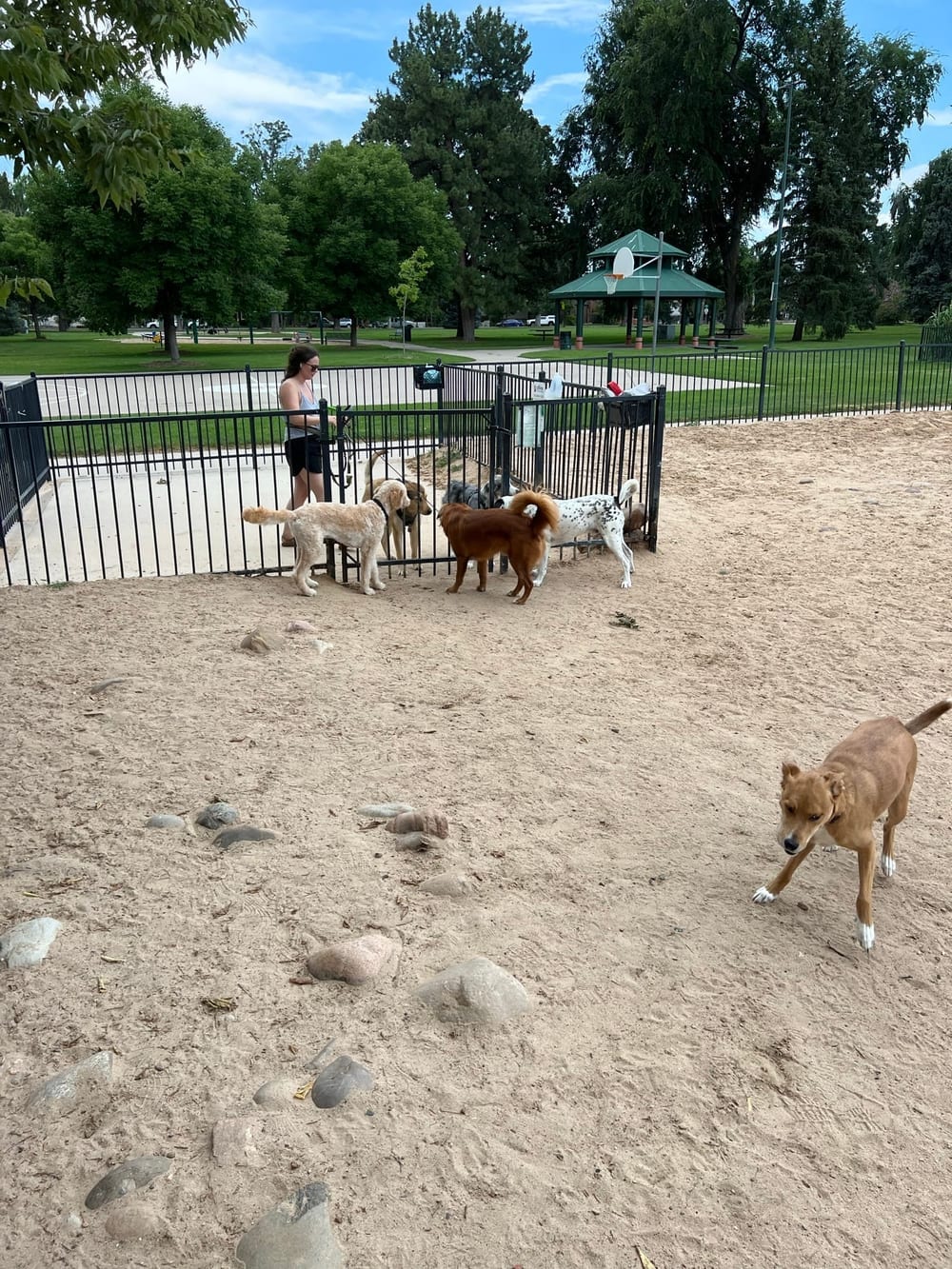 Fuller Dog Park, photo 2