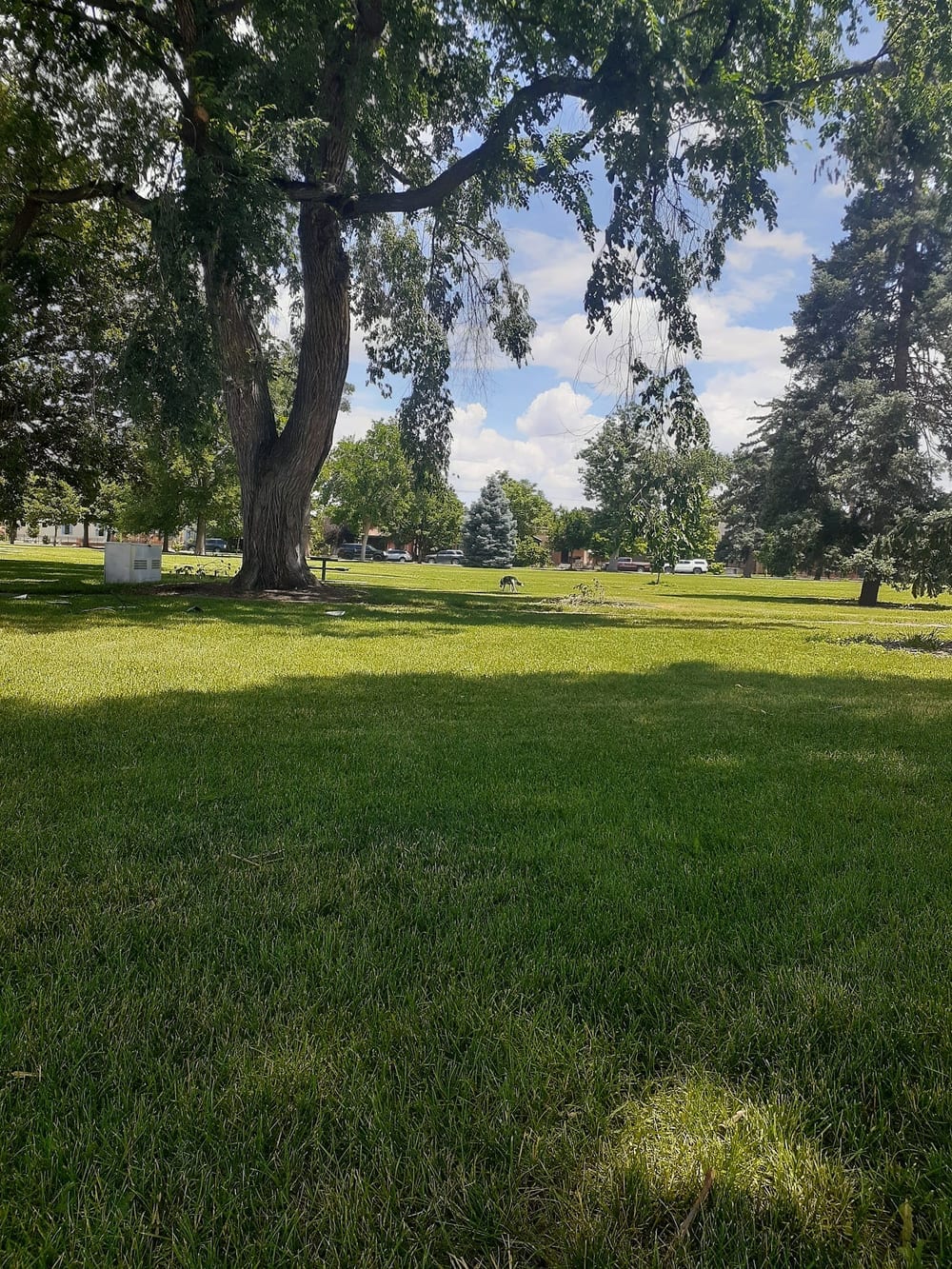 Fuller Dog Park, photo 3