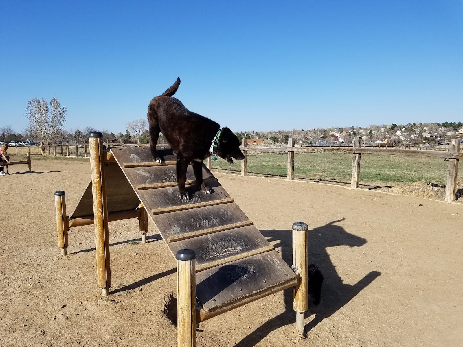 Grandview Dog Park
