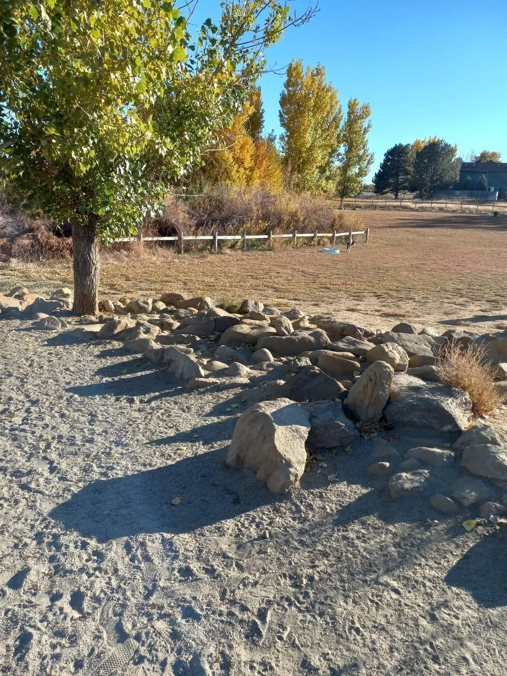 Grandview Dog Park, photo 3