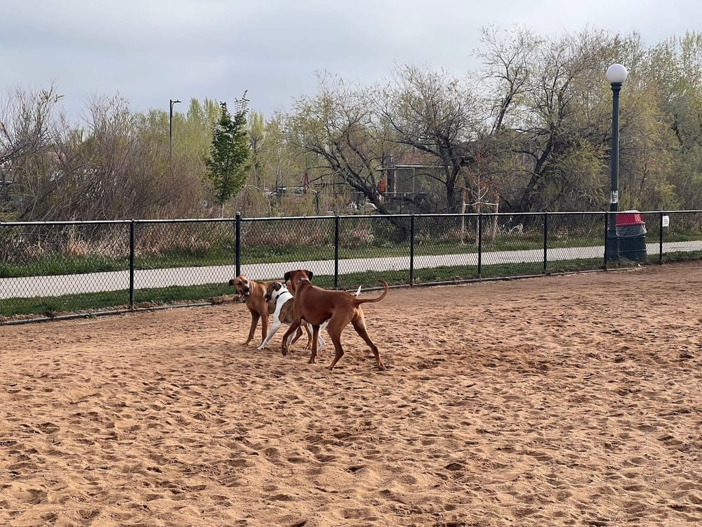 Greenway Off Leash Dog Park, photo 2
