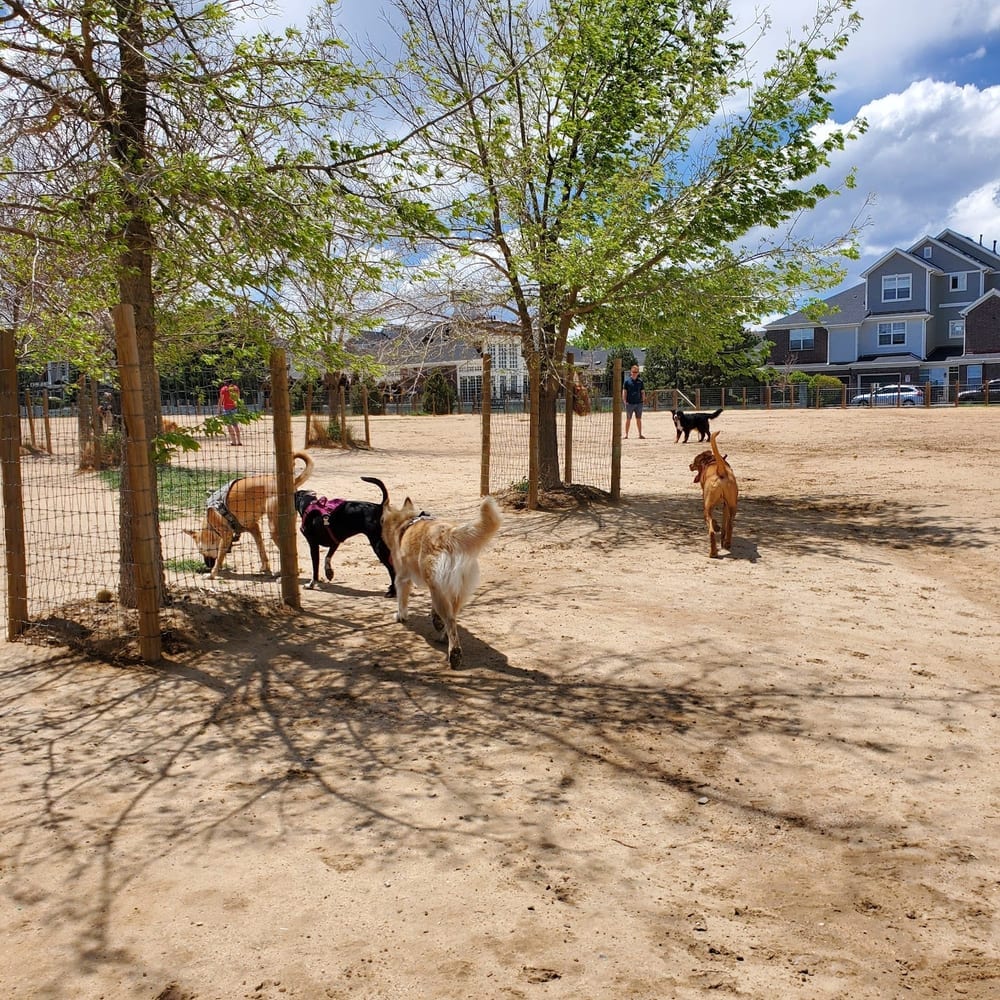 Kennedy Dog Park, photo 2