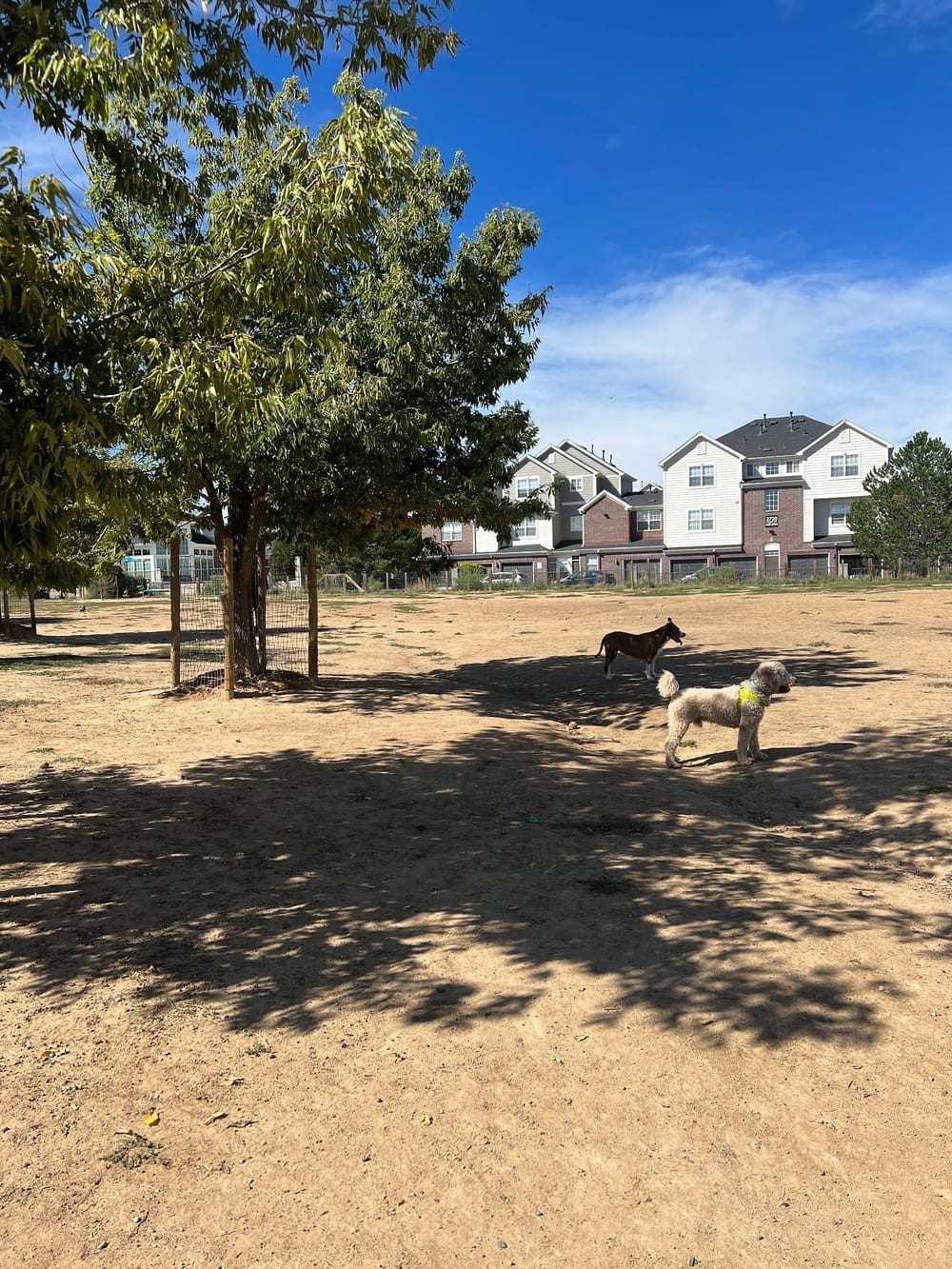 Kennedy Dog Park, photo 3