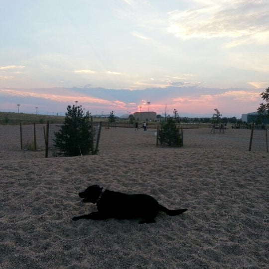 Lowry Dog Park, photo 2