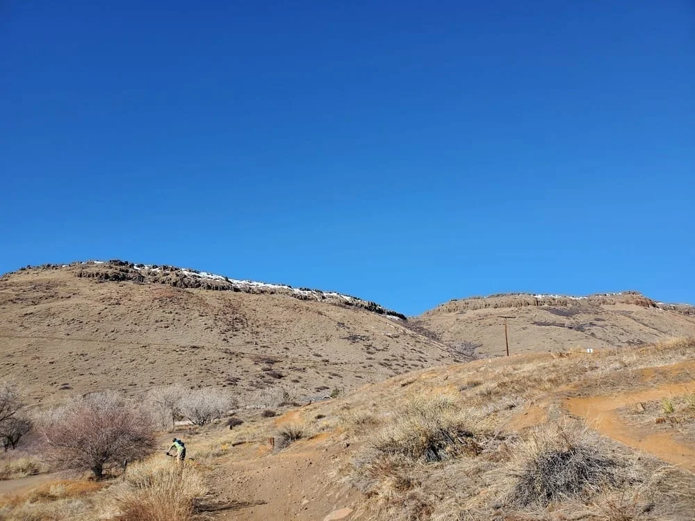 Tony Grampsas Dog Park, photo 2