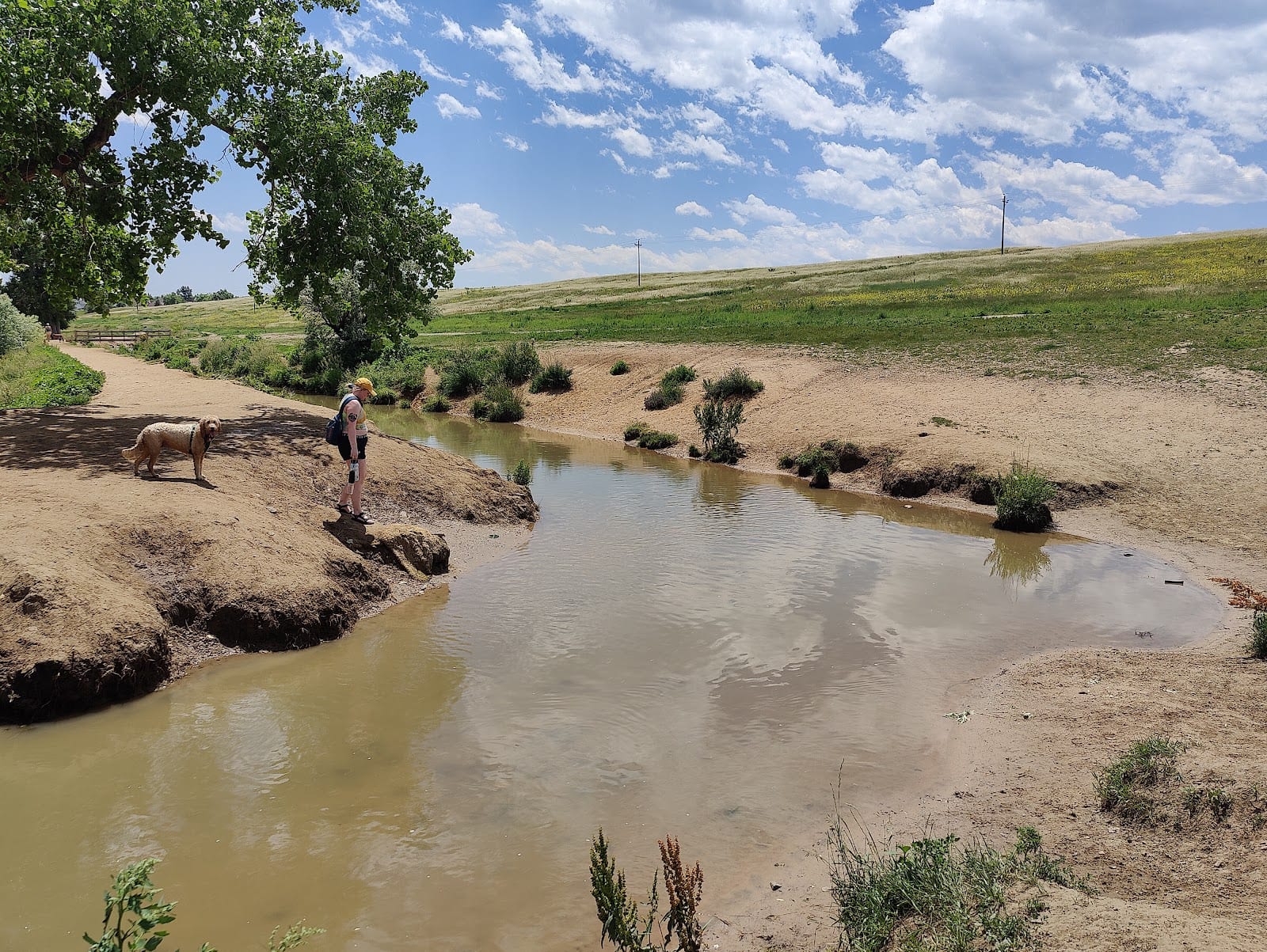 Westminster Hills Open Space Off-Leash Area