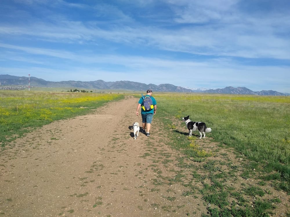 Westminster Hills Open Space Off-Leash Area, photo 2
