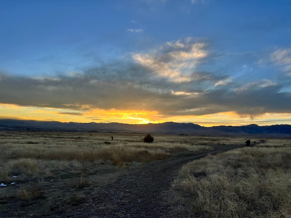 Westminster Hills Open Space Off-Leash Area, photo 3
