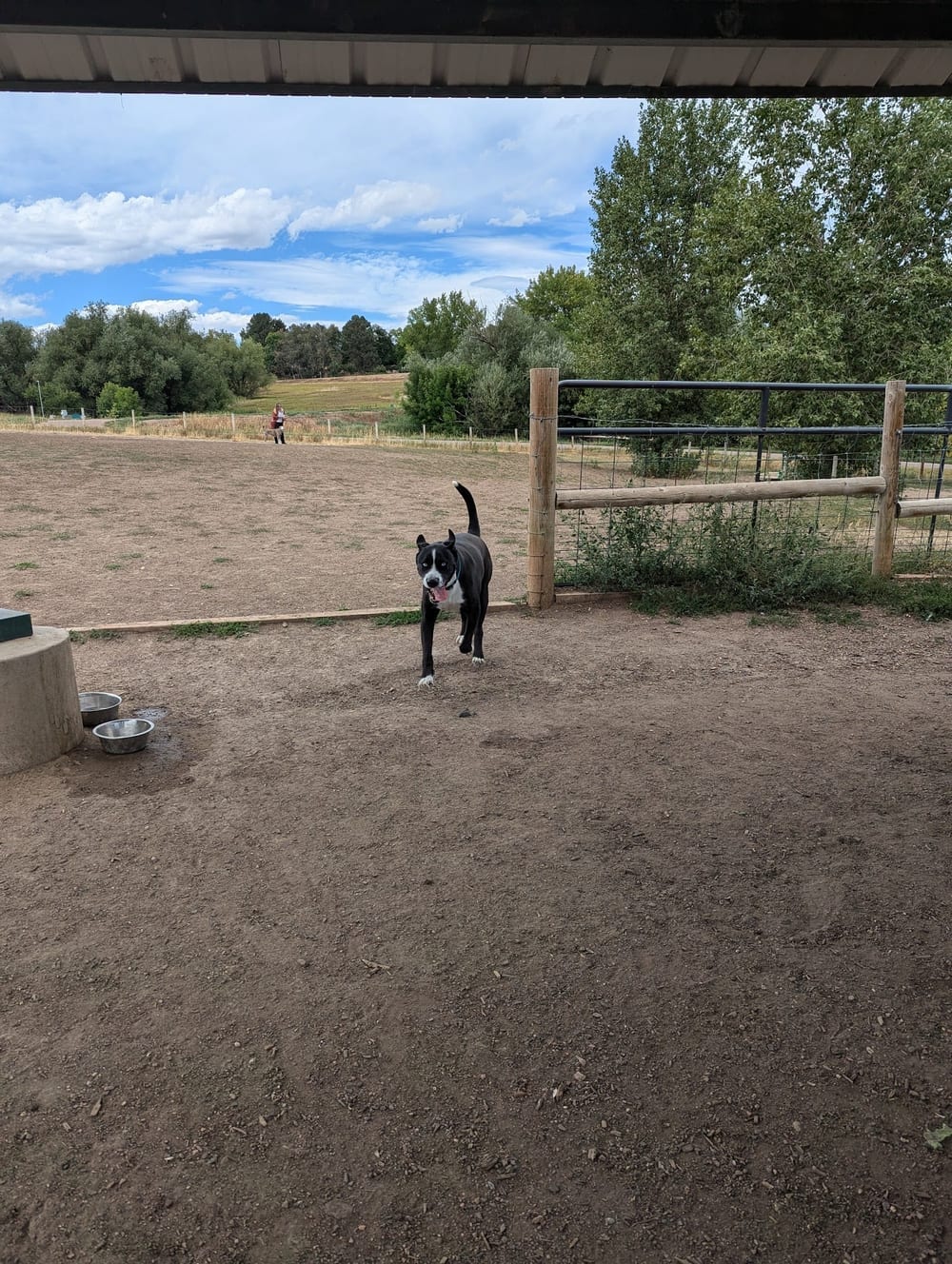 Wynetka Ponds Bark Park, photo 2