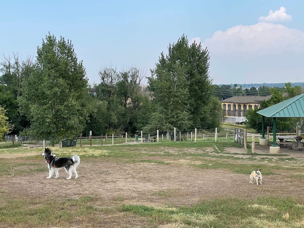 Wynetka Ponds Bark Park, photo 3