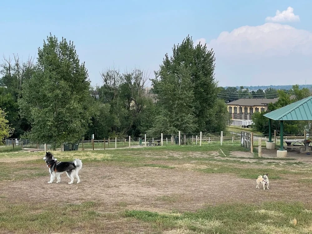Wynetka Ponds Bark Park, photo 3
