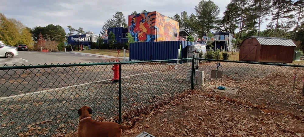 Barkyard Dog Park, photo 2