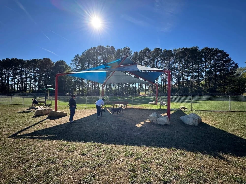 Dog Park at Dix Park, photo 2