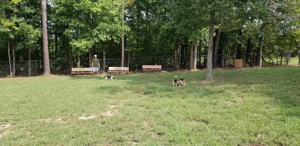 Southern Community Dog Park, photo 3