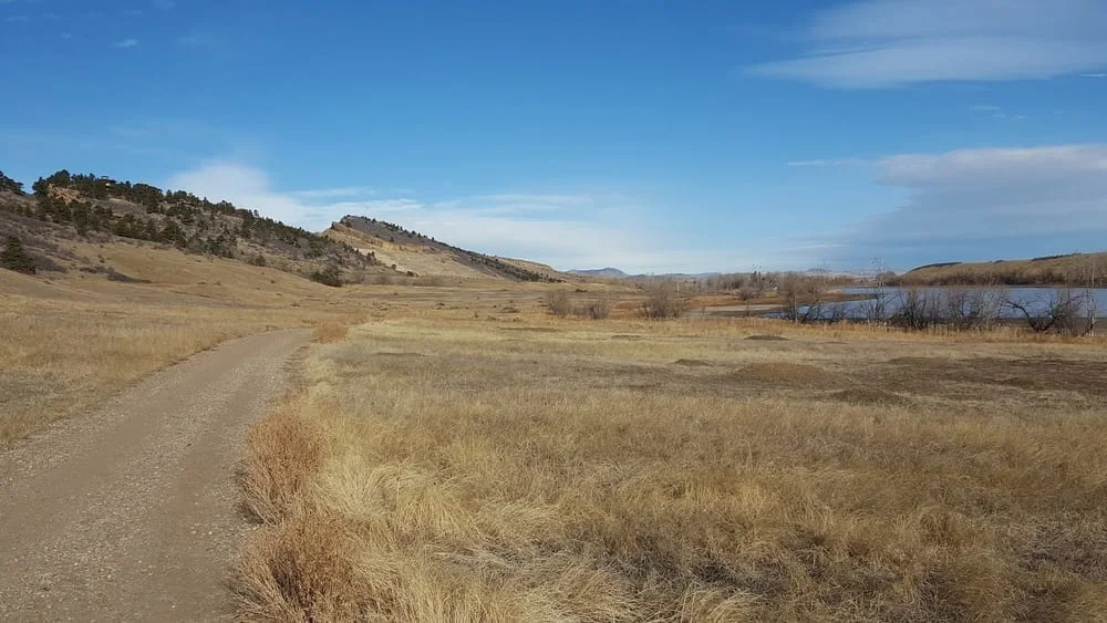 Pineridge Natural Area, photo 3