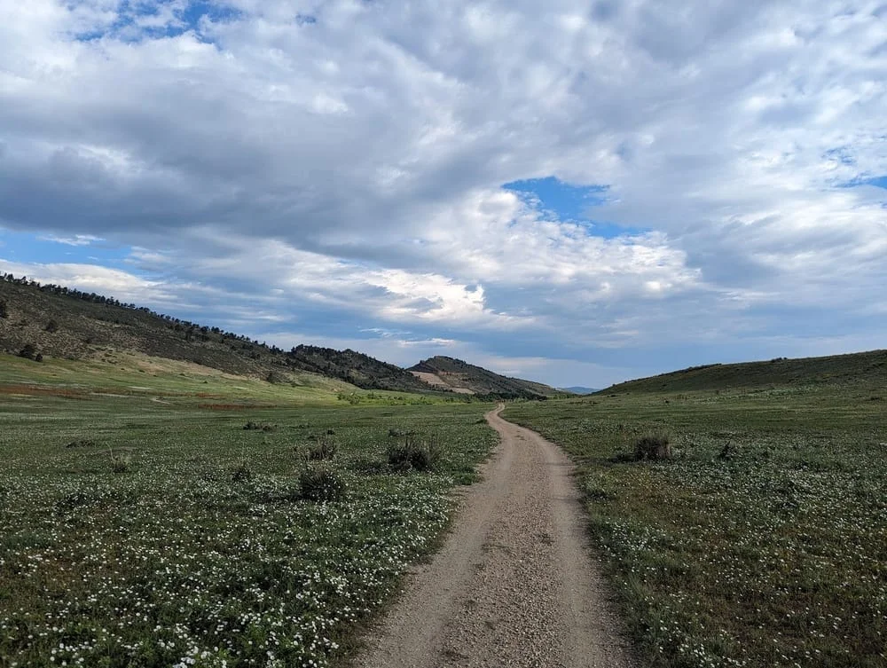 Pineridge Natural Area, photo 2