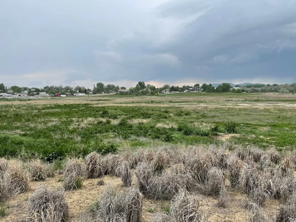 Prairie Dog Meadow Natural Area, photo 2