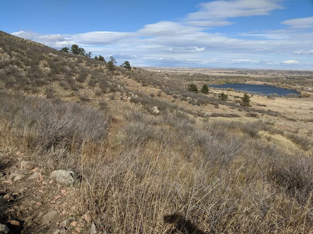 Reservoir Ridge Natural Area, photo 2