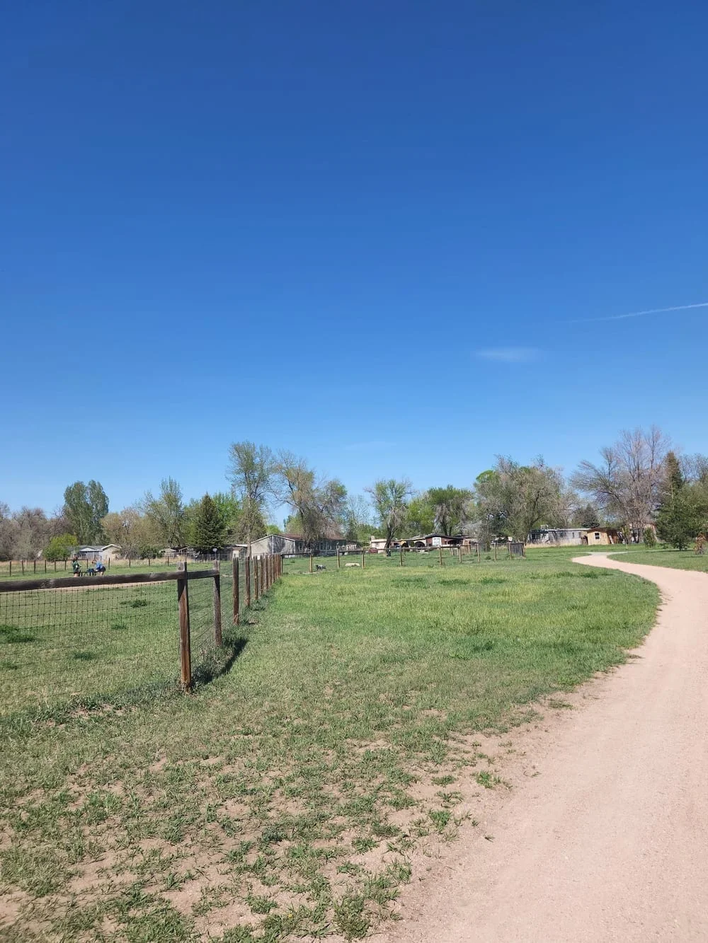 Soft Gold Dog Park, photo 2