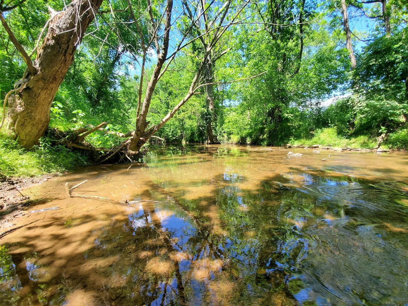 Ballenger Creek Park, photo 2