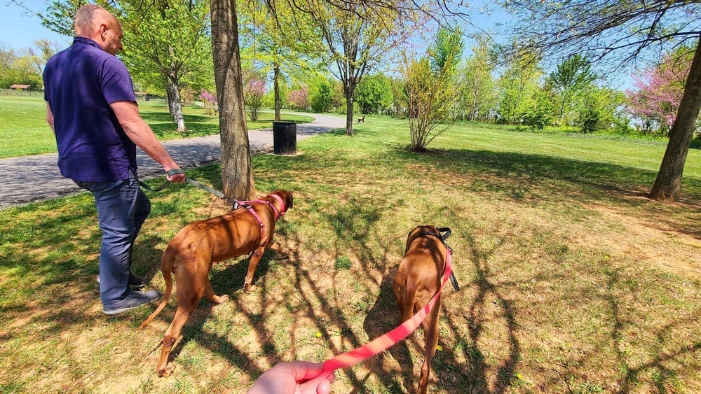 Watkins Park - Mount Airy Dog Park, photo 2