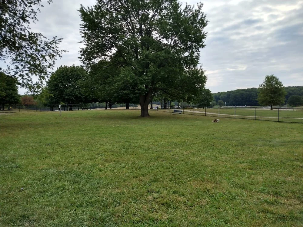 Cascade Dog Park, photo 2