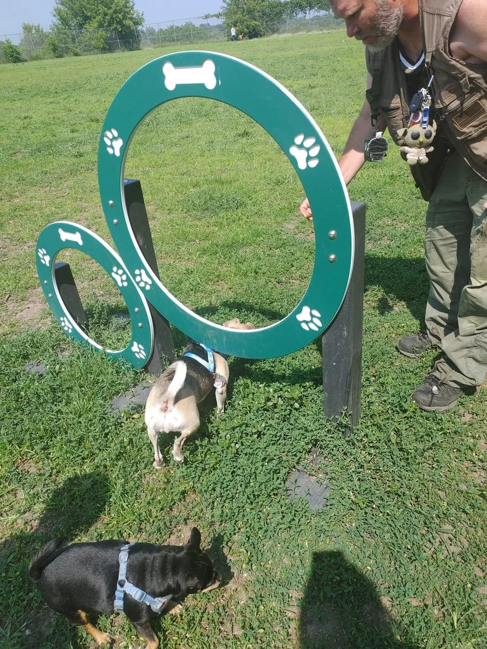 Covell Dog Park, photo 2