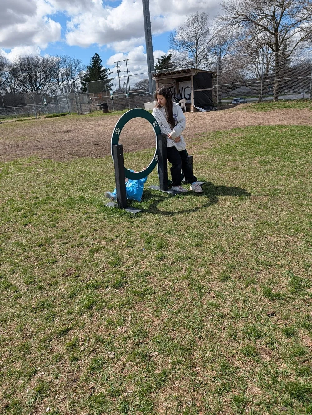 Covell Dog Park, photo 3