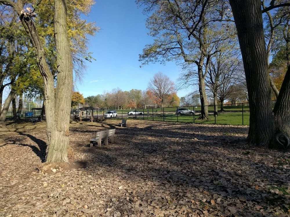 Hillcrest Dog Park, photo 3