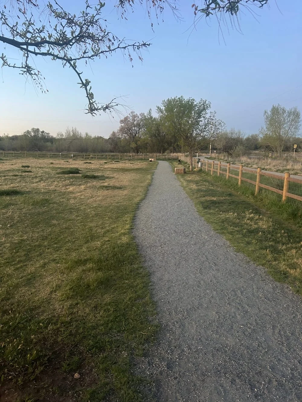 Rover Run Dog Park, photo 3