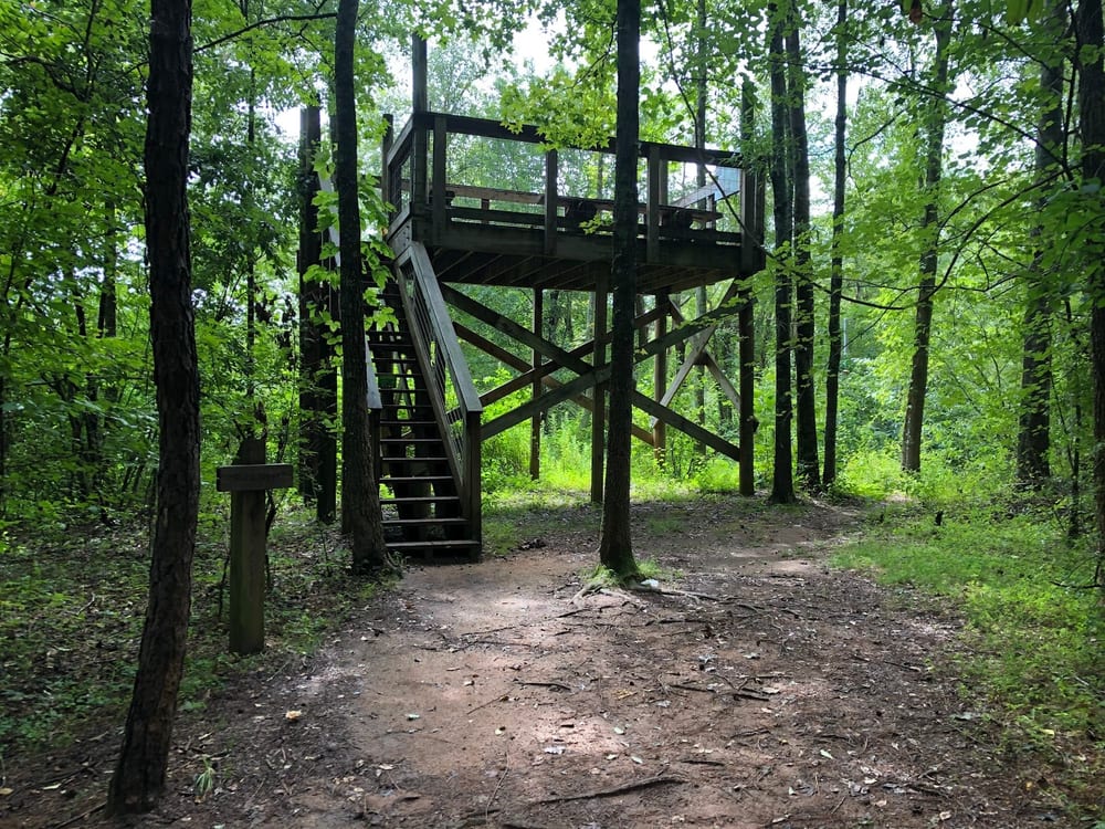 Conestee Nature Preserve, photo 3