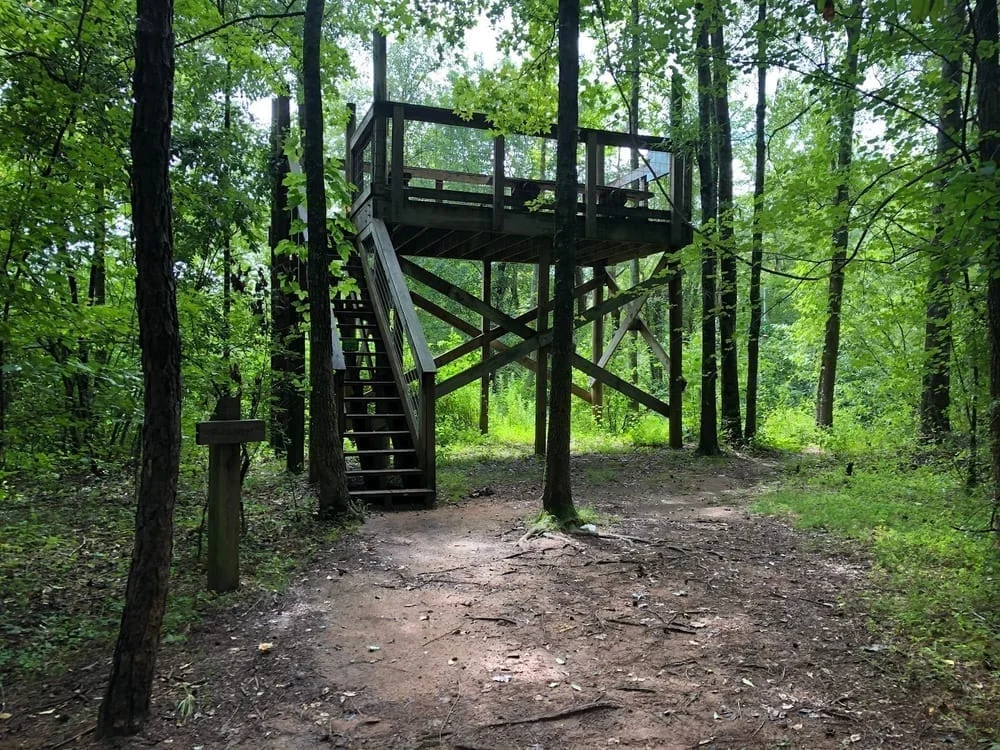 Conestee Nature Preserve, photo 3