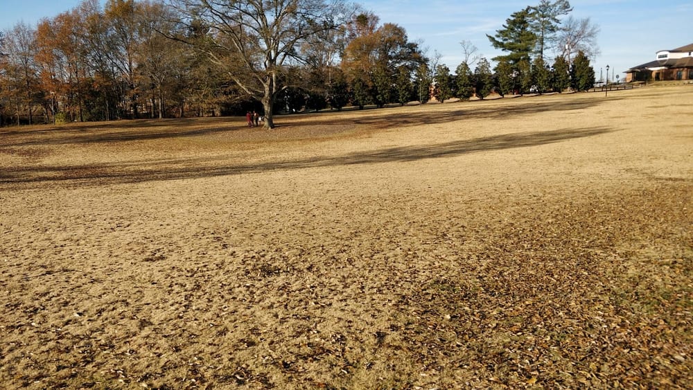 Legacy Park, photo 2