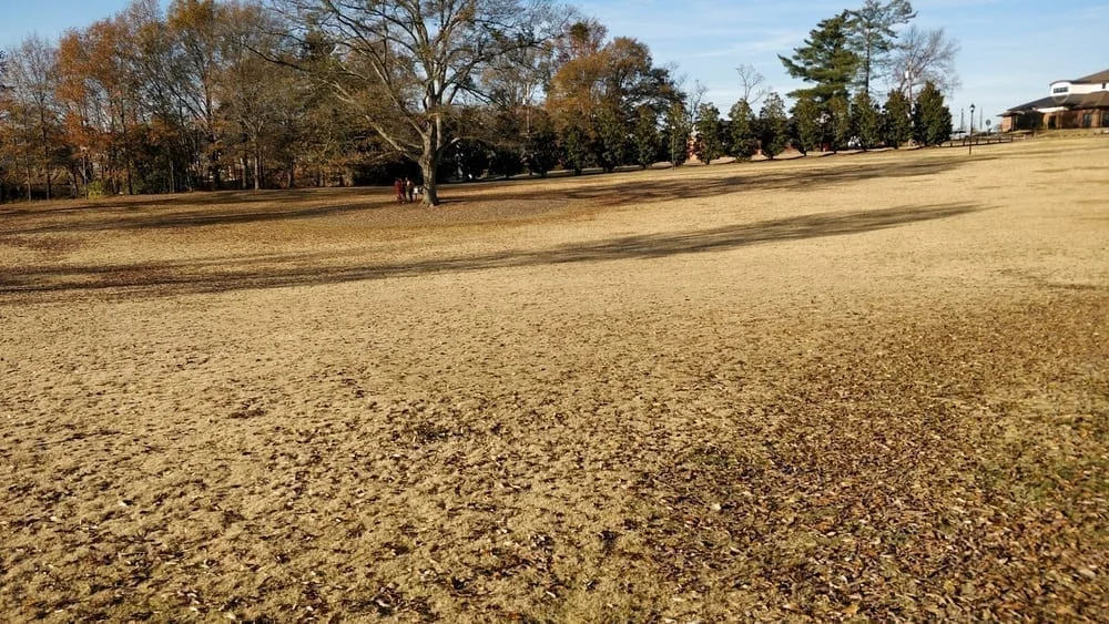Legacy Park, photo 2